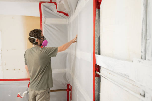 Trusted Ashford, AL Mold Removal Experts