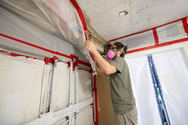 Best Biohazard Mold Removal  in Ashford, AL