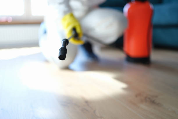 Best HVAC Mold Inspection and Cleaning  in Ashford, AL