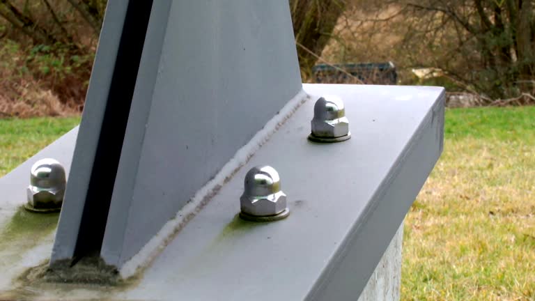 Best Mold Prevention Services  in Ashford, AL